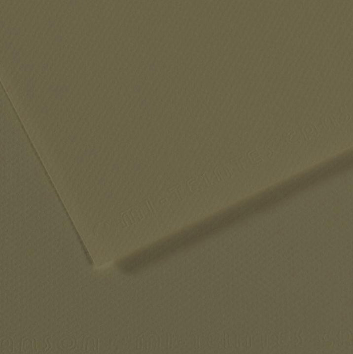 Canson Mi-Teintes 50x65cm 160gsm Paper Pack of 10 Sheets