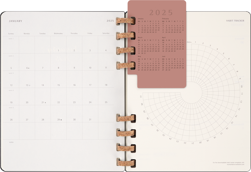 Moleskine 12 Month Spiral HC XL Black Planner