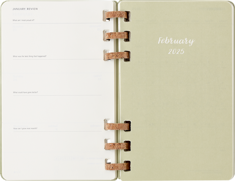 Moleskine 12 Month Spiral HC Large Kiwi Planner