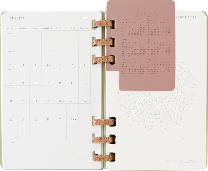 Moleskine 12 Month Spiral HC Large Kiwi Planner