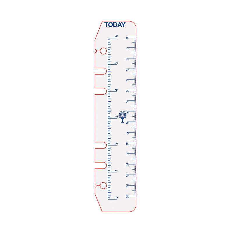 Debden Personal Today Ruler Dayplanner 2 Pack