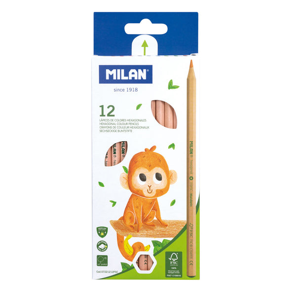 Milan Hexagonal Coloured Pencils Set of 12