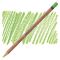 Derwent Lightfast Oil-Based Colouring Pencils#Colour_GRASS GREEN (70%)