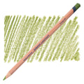 Derwent Lightfast Oil-Based Colouring Pencils#Colour_FOLIAGE