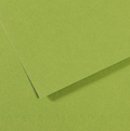 Canson Mi-Teintes 50x65cm 160gsm Paper Pack of 10 Sheets#Colour_APPLE GREEN