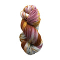 Manos Del Uruguay Alegria Space Dyed 4ply Sock Yarn#Colour_8004