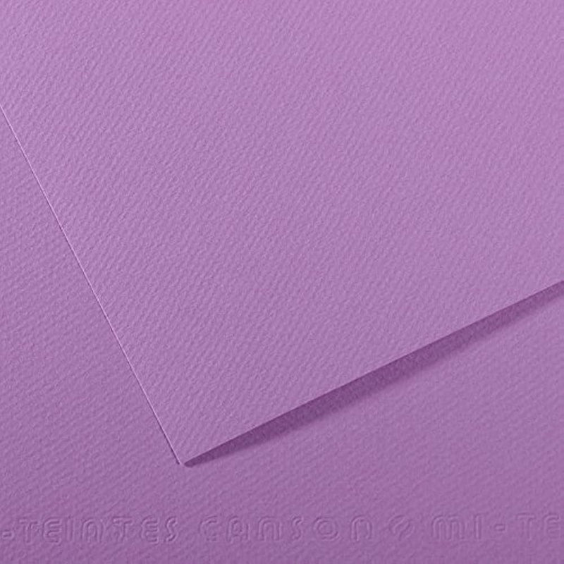 Canson Mi-Teintes 50x65cm 160gsm Paper Pack of 10 Sheets