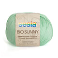 Sesia Bio Sunny Organic 8ply DK Yarn#Colour_4291