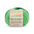 Sesia Bio Sunny Organic 8ply DK Yarn#Colour_487