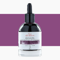 Jacques Herbin Eclats Watercolour Inks 50ml#Colour_BURGUNDY