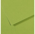 Canson MI-TEINTES Paper A4 160gsm Pack of 25#Colour_APPLE GREEN