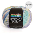 Sesia Nordica DK Print Yarn 8ply#Colour_2801 - NEW