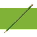 Koh-I-Noor Polycolor Colouring Pencils Shades 1-357#Colour_APPLE GREEN