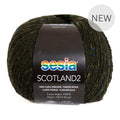 Sesia Scotland Tweed 4ply Yarn#Colour_1785 - NEW