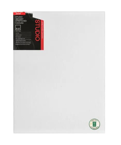 Jasart Studio 1.5 Inch Thick Edge Canvases Pack of 3