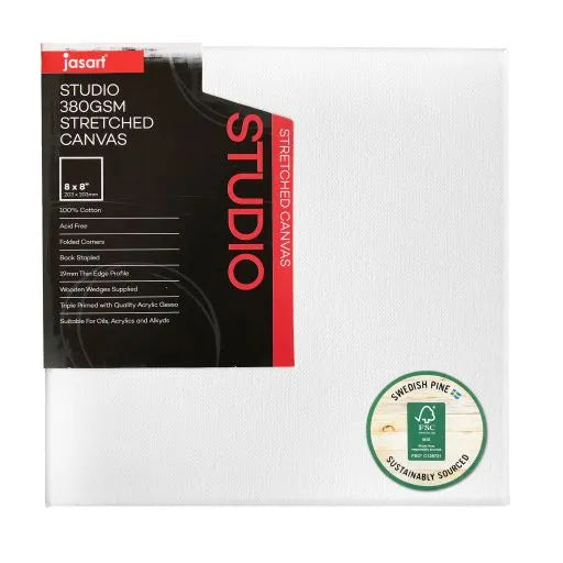 Jasart Studio 1.5 Inch Thick Edge Canvases Pack of 6