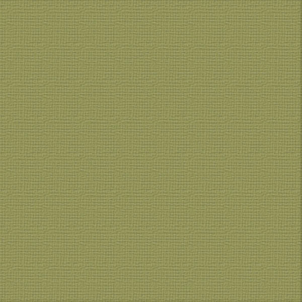 Couture Creations 12x12" 216gsm Textured Cardstock Pack of 10 Sheets#Colour_BATTLE FATIGUE