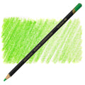 Derwent Chromaflow Coloured Pencils#Colour_GRASS GREEN