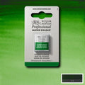 Winsor & Newton Professional Watercolour Half Pan#Colour_HOOKERS GREEN (S1)