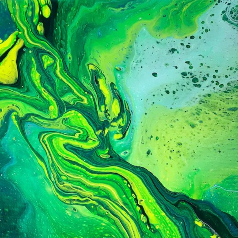 Decoart Fluidart Jungle Paint Pouring Set of 4