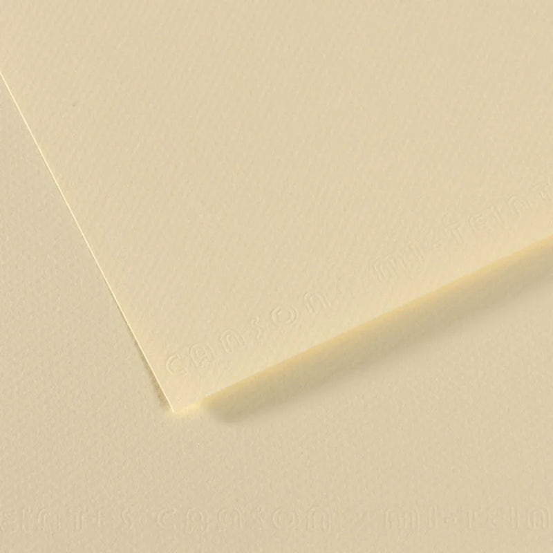 Canson Mi-Teintes 50x65cm 160gsm Paper Pack of 10 Sheets