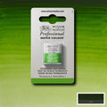 Winsor & Newton Professional Watercolour Half Pan#Colour_PERMANENT SAP GREEN (S1)