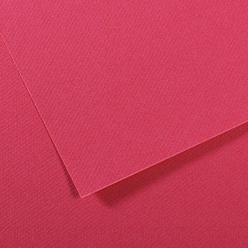 Canson Mi-Teintes 50x65cm 160gsm Paper Pack of 10 Sheets