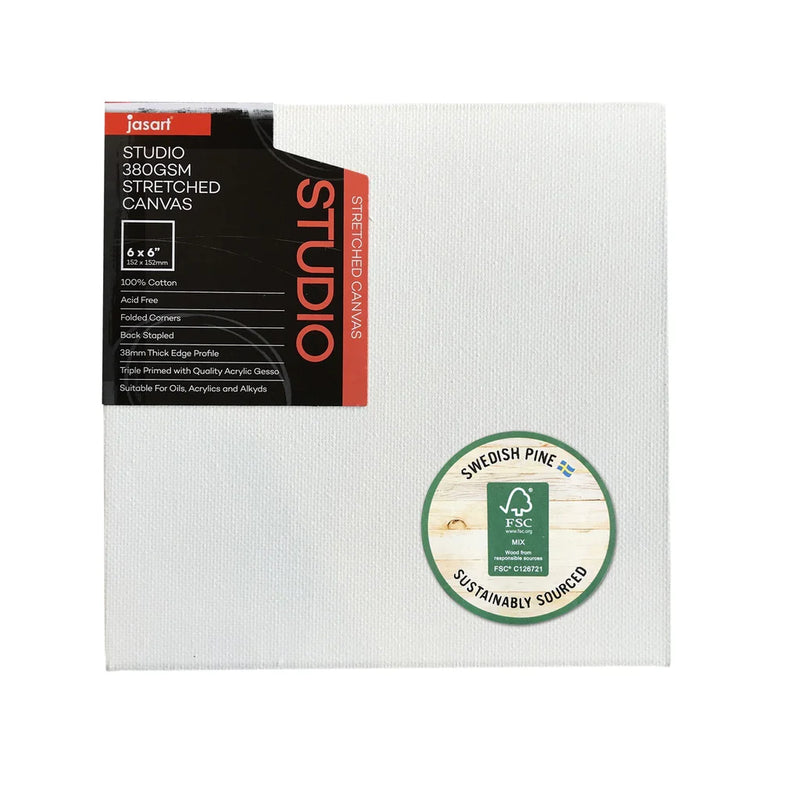 Jasart Studio 3/4 Inch Thin Edge Canvases Pack of 8