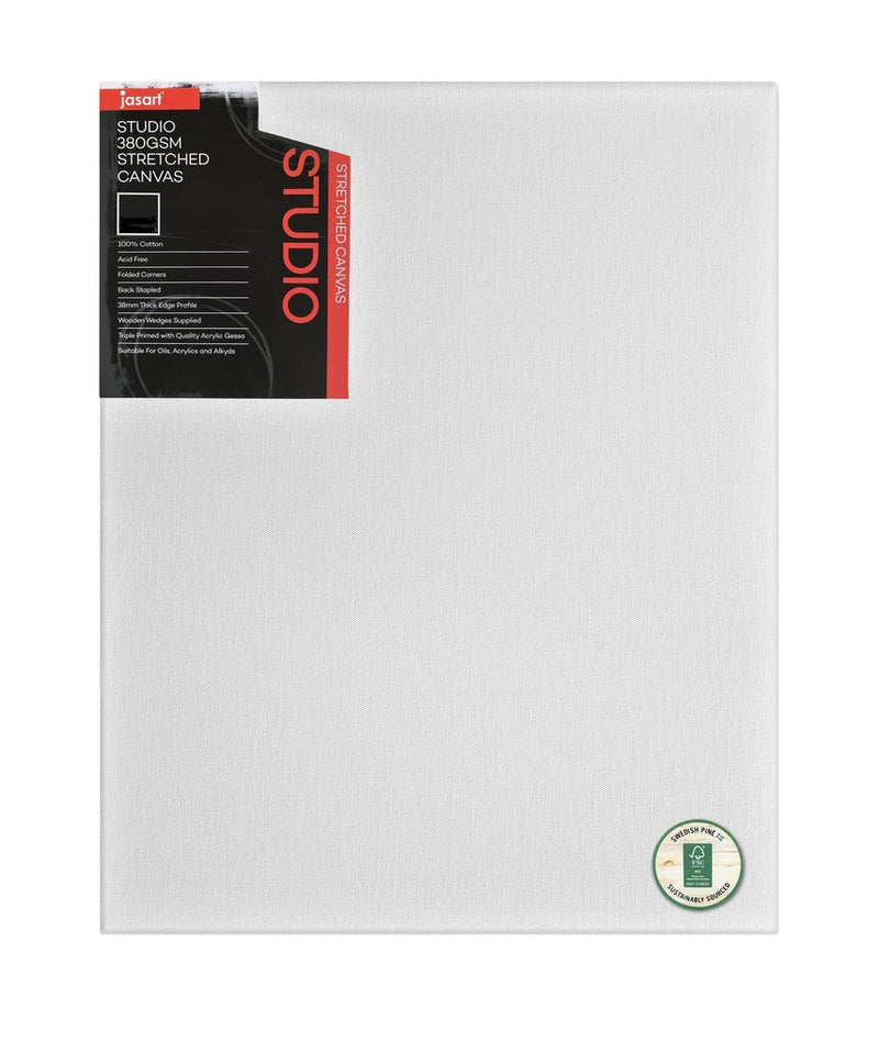 Jasart Studio 1.5 Inch Thick Edge Canvases Pack of 6