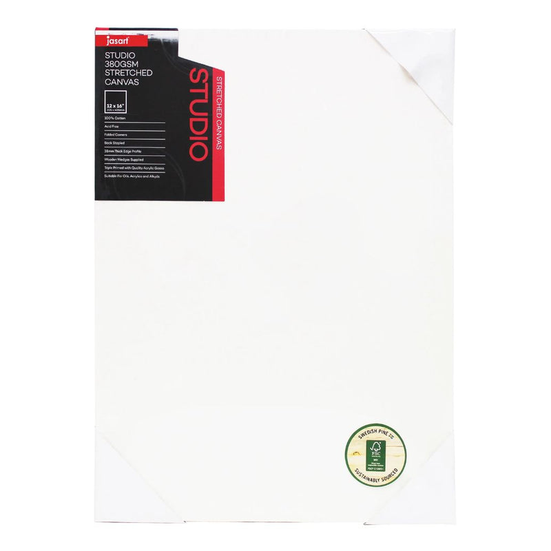 Jasart Studio 1.5 Inch Thick Edge Canvases Pack of 6