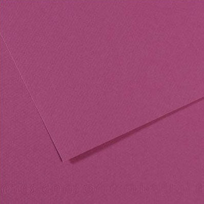 Canson Mi-Teintes 50x65cm 160gsm Paper Pack of 25 Sheets