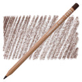 Caran D'ache Luminance 6901 Coloured Pencils#Colour_WARM EARTH 70%