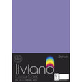 THE PAPER HOUSE LIVIANO COLOUR CARD 300GSM A3 PACK OF 5#Colour_PURPLE