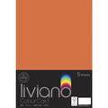 THE PAPER HOUSE LIVIANO COLOUR CARD 300GSM A3 PACK OF 5#Colour_ORANGE