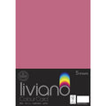 THE PAPER HOUSE LIVIANO COLOUR CARD 300GSM A3 PACK OF 5#Colour_FUCHSIA