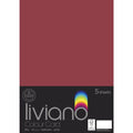 THE PAPER HOUSE LIVIANO COLOUR CARD 300GSM A3 PACK OF 5#Colour_RED