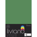 THE PAPER HOUSE LIVIANO COLOUR CARD 300GSM A3 PACK OF 5#Colour_GREEN