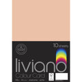 The Paper House Liviano Colour Card 300gsm A4 Pack Of 10#Colour_SALMON