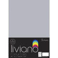 THE PAPER HOUSE LIVIANO COLOUR CARD 300GSM A3 PACK OF 5#Colour_GREY