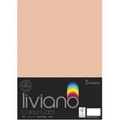 THE PAPER HOUSE LIVIANO COLOUR CARD 300GSM A3 PACK OF 5#Colour_SALMON