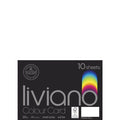 The Paper House Liviano Colour Card 300gsm A4 Pack Of 10#Colour_WHITE