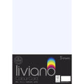 THE PAPER HOUSE LIVIANO COLOUR CARD 300GSM A3 PACK OF 5#Colour_WHITE