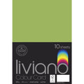 The Paper House Liviano Colour Card 300gsm A4 Pack Of 10#Colour_GRASS