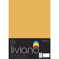 THE PAPER HOUSE LIVIANO COLOUR CARD 300GSM A3 PACK OF 5#Colour_OLD GOLD