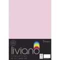 THE PAPER HOUSE LIVIANO COLOUR CARD 300GSM A3 PACK OF 5#Colour_LIGHT PINK