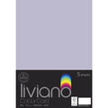 THE PAPER HOUSE LIVIANO COLOUR CARD 300GSM A3 PACK OF 5#Colour_LILAC