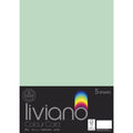 THE PAPER HOUSE LIVIANO COLOUR CARD 300GSM A3 PACK OF 5#Colour_MINT