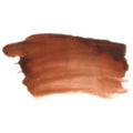 A2 Acrylic Paint 250ml#Colour_BURNT SIENNA