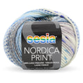 Sesia Nordica DK Print Yarn 8ply#Colour_STONE WASH JEANS (1354)