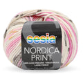 Sesia Nordica DK Print Yarn 8ply#Colour_CHAMELEON (179)